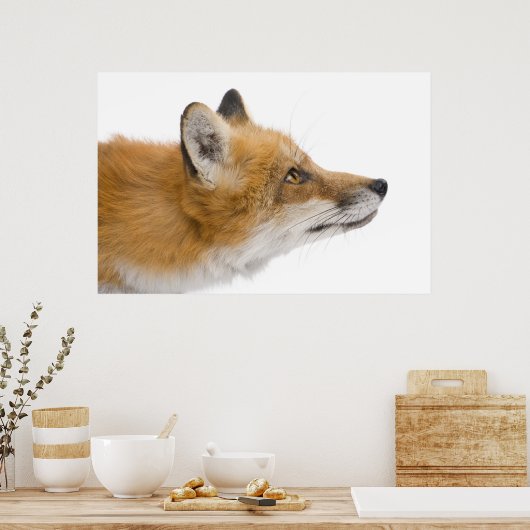 Rode vos poster (Keuken)