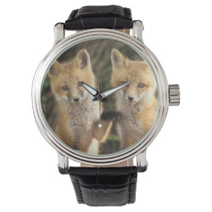 Rode vos pup voor de hol (Vulpes vulpes) Horloge