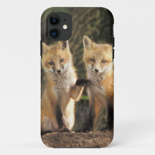 Rode vos pup voor hol (Vulpes vulpes) iPhone 11 Hoesje