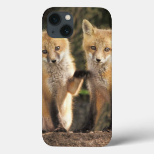 Rode vos pup voor hol (Vulpes vulpes) Case-Mate iPhone Case