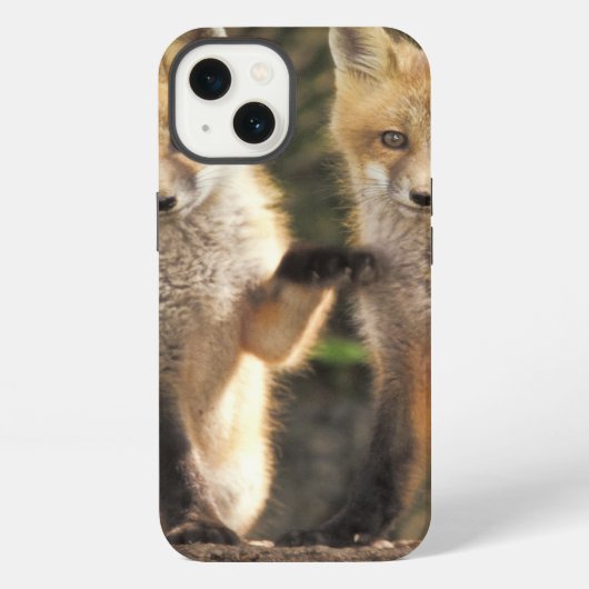 Rode vos pup voor hol (Vulpes vulpes) iPhone Hoesje (Achterkant)