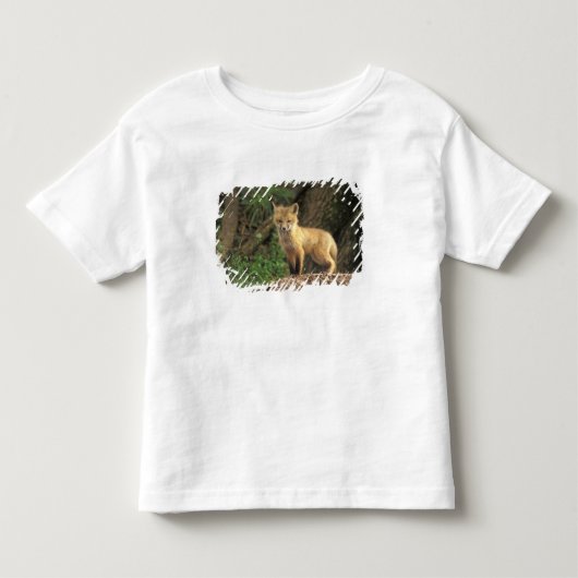 Rode vos pup voor hol (Vulpes vulpes) Kinder Shirts (Voorkant)