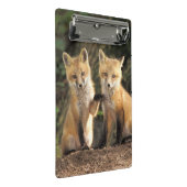 Rode vos pup voor hol Vulpes vulpes Mini Klembord (Schuin)