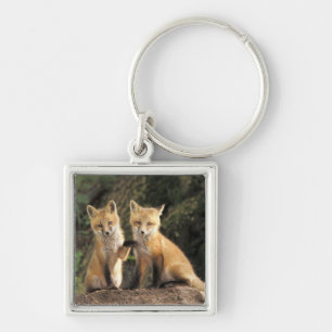 Rode vos pup voor hol (Vulpes vulpes) Sleutelhanger