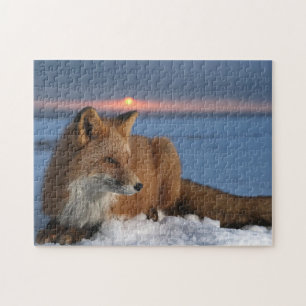 Rode Vos Spel Puzzel