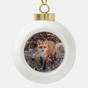 Rode vos van dichtbij en persoonlijk keramische bal ornament