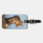 rode vos, Vulpes vulpes Bagagelabel (Voorkant horizontaal)