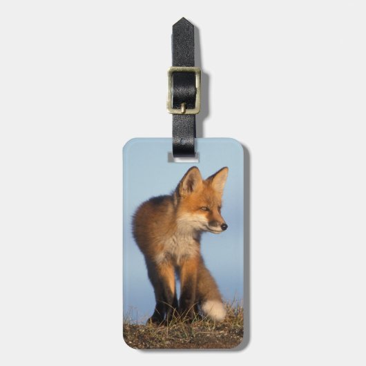 rode vos, Vulpes vulpes Bagagelabel (Voorkant verticaal)