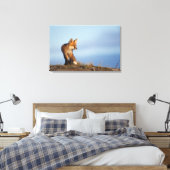 rode vos, Vulpes vulpes Canvas Afdruk (Insitu (Slaapkamer))