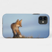 rode vos, Vulpes vulpes Case-Mate iPhone Case (Achterkant (horizontaal))