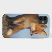 rode vos, Vulpes vulpes Case-Mate iPhone Case (Achterkant (horizontaal))