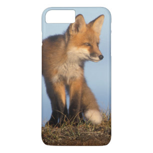 rode vos, Vulpes vulpes Case-Mate iPhone Case