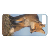 rode vos, Vulpes vulpes Case-Mate iPhone Case (Achterkant (Horizontaal))