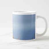rode vos, Vulpes vulpes Grote Koffiekop (Rechts)