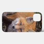 rode vos, Vulpes vulpes, in herfstkleuren Case-Mate iPhone Case (Achterkant (horizontaal))