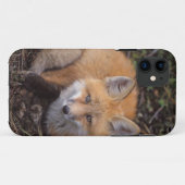 rode vos, Vulpes vulpes, in herfstkleuren Case-Mate iPhone Case (Achterkant (horizontaal))