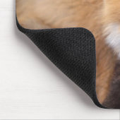 rode vos, Vulpes vulpes, in herfstkleuren Muismat (Hoek)