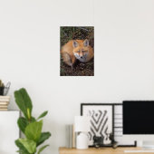 rode vos, Vulpes vulpes, in herfstkleuren Poster (Thuiskantoor)