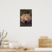 rode vos, Vulpes vulpes, in herfstkleuren Poster (Keuken)