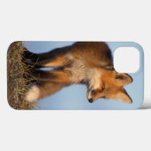 rode vos, Vulpes vulpes, in het gebied van 1002 va Case-Mate iPhone Case (Achterkant (horizontaal))