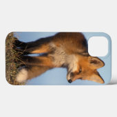 rode vos, Vulpes vulpes, in het gebied van 1002 va Case-Mate iPhone Case (Achterkant (horizontaal))