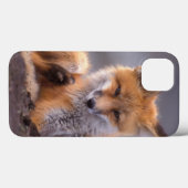 rode vos, Vulpes vulpes, jong dier krabt zichzelf, Case-Mate iPhone Case (Achterkant (horizontaal))