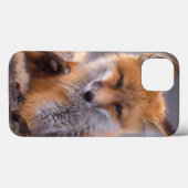 rode vos, Vulpes vulpes, jong krabt zichzelf, Case-Mate iPhone Case (Achterkant (horizontaal))