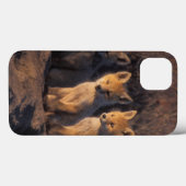 rode vos, Vulpes vulpes, jongen Case-Mate iPhone Case (Achterkant (horizontaal))