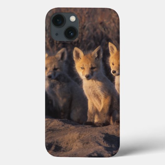 rode vos, Vulpes vulpes, jongen Case-Mate iPhone Case (Achterkant)