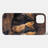 rode vos, Vulpes vulpes, jongen Case-Mate iPhone Case (Achterkant (horizontaal))