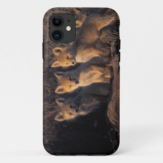 rode vos, Vulpes vulpes, jongen Case-Mate iPhone Case (Achterkant)