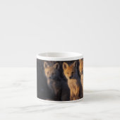 rode vos, Vulpes vulpes, jongen Espresso Kop (Voorkant)