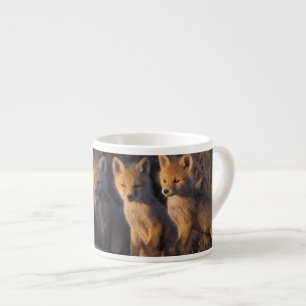 rode vos, Vulpes vulpes, jongen Espresso Kop