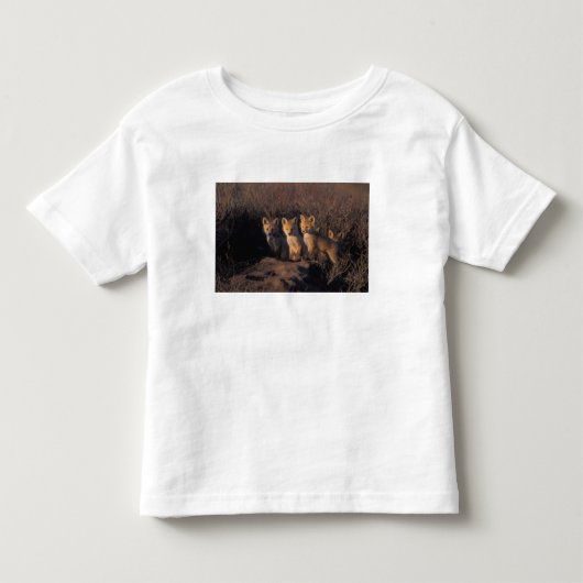 rode vos, Vulpes vulpes, jongen Kinder Shirts (Voorkant)