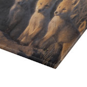 rode vos, Vulpes vulpes, jongen Snijplank (Hoek)