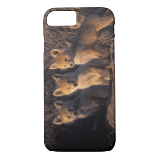 rode vos, Vulpes vulpes, kits Case-Mate iPhone Case (Achterkant)