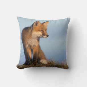 rode vos, Vulpes vulpes Kussen