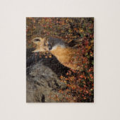 rode vos, Vulpes vulpes Legpuzzel (Verticaal)