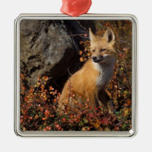 rode vos, Vulpes vulpes Metalen Ornament