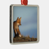 rode vos, Vulpes vulpes Metalen Ornament (Rechts)