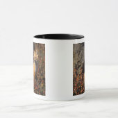 rode vos, Vulpes vulpes Mok (Midden)