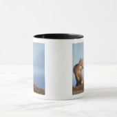 rode vos, Vulpes vulpes Mok (Midden)