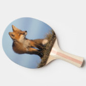 rode vos, Vulpes vulpes Tafeltennisbatje (Zijkant)