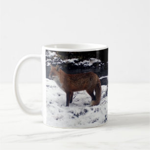 Rode Vos Winter Sneeuw Bosland Natuurfotografie Koffiemok