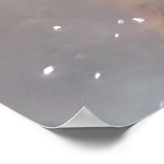 Rode vos, winterbos, schilderachtig illustratie. poster (Hoek)