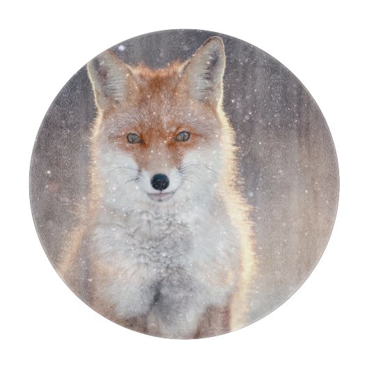 Rode vos, winterbos, schilderachtig illustratie. snijplank (Voorkant)