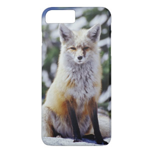 Rode Vos zittend op sneeuwbank, Vulpes, Mt. Case-Mate iPhone Case