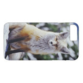 Rode Vos zittend op sneeuwbank, Vulpes, Mt. Case-Mate iPhone Case (Achterkant (Horizontaal))