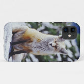 Rode Vos zittend op sneeuwbank, Vulpes, Mt. Case-Mate iPhone Case (Achterkant (horizontaal))