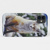 Rode Vos zittend op sneeuwbank, Vulpes, Mt. Case-Mate iPhone Case (Achterkant (horizontaal))